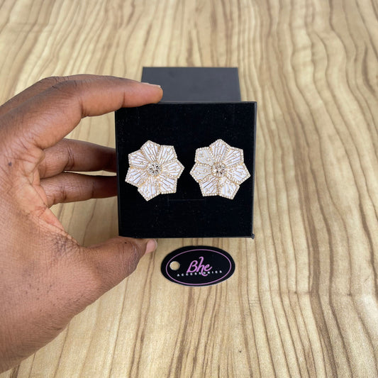 Enamel Cubic Zirconia Clip Stud Earrings