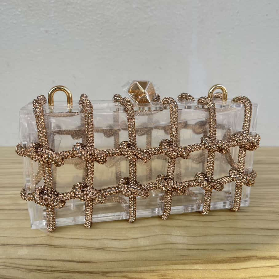 Crystal Knot Transparent Clutch